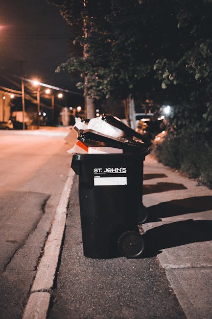 Emergency rubbish clearance Bermondsey same day service options